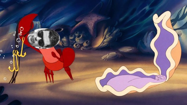 Image Sous l'Ocean's P@L